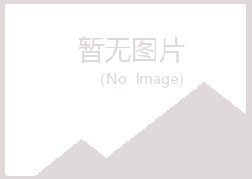 昭苏县夏岚冶炼有限公司